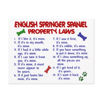 ENGLISH SPRINGER SPANIEL Property Laws 2 by poochloverstuff