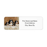English Springer Spaniel Puppies Custom Return Address Labels