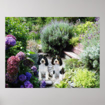 English Springer Spaniel Puppies Print