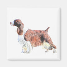 English Springer Spaniel Refrigerator Magnets