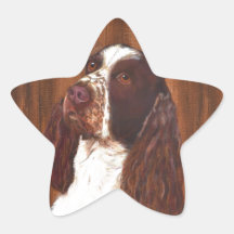 English Springer Spaniel Star Sticker