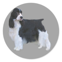 English Springer Spaniel Sticker