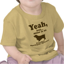 English Springer Spaniel Tee Shirts