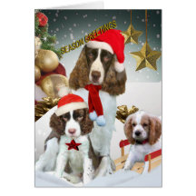 English Springer Spaniels Bring Season Greetings Card
