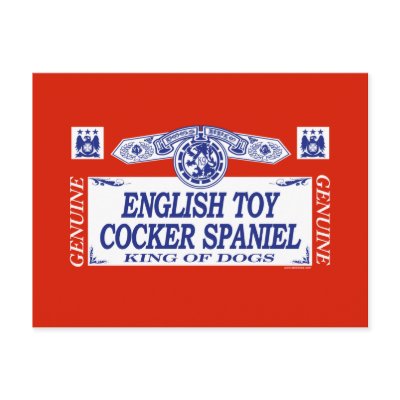English Toy Cocker Spaniel by dogbreedz
