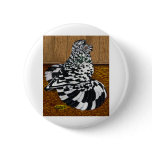 English Trumpeter:  Splash Pin