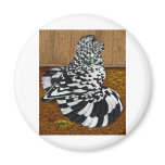 English Trumpeter:  Splash Magnets