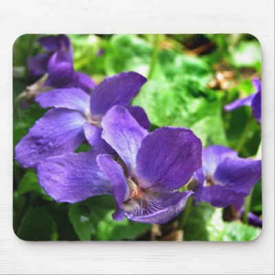 English Violet Mousepad by Bebops