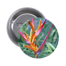 Enhanced Hawaiian Heliconia Flower Pinback Button