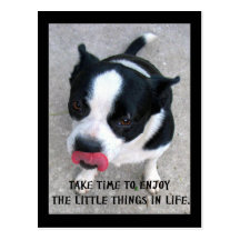 Enjoy Life Dog Postcard