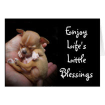 Enjoy Life's Little Blessings Card
