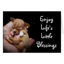 Enjoy Life's Little Blessings Card