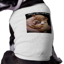 Enjoy Life's Little Blessings Dog Tee