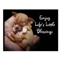 Enjoy Life's Little Blessings Post Cards