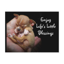 Enjoy Life's Little Blessings Post Cards