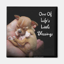 Enjoy Life's Little Blessings Refrigerator Magnet