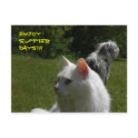 ENJOY SUMMER DAYS! POSTCARDS