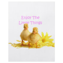 Enjoy The Little Things, Ducklings Flyer