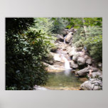Enjoying Nature Ala Naturel Print