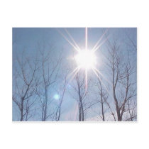 Enlightened Post Cards