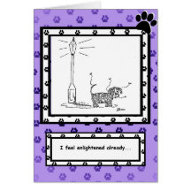 Enlightening... Cards