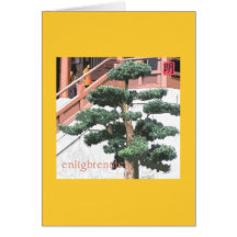 Enlightenment Card