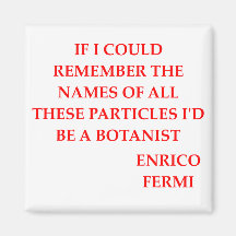 enrico fermi refrigerator magnets