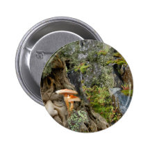 ENT PINBACK BUTTON