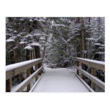 Enter - New Hampshire Snow Scene Postcard