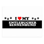 ENTLEBUCHER SENNEHUND_ POSTCARD