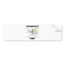 Entomologist Inside (Mosquito Anatomy)
