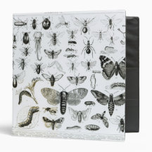 Entomology Binder