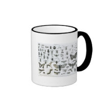 Entomology Coffee Mugs