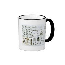 Entomology Insects mugs