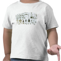 Entomology Insects t-shirts