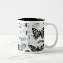 Entomology mugs