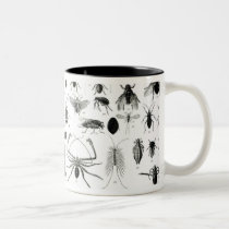 Entomology, Myriapoda and Arachnida mugs