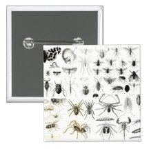 Entomology, Myriapoda and Arachnida Pins