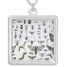 Entomology Pendants
