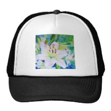 Entrain de chaux casquettes