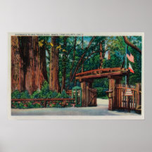 Entrance to Big Trees Park, Santa Cruz County Posters