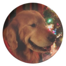 Entretenez le chien Jonas et les lumières d'arbre  Assiette