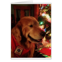 Entretenez le chien Jonas et les lumières d'arbre  Cartes