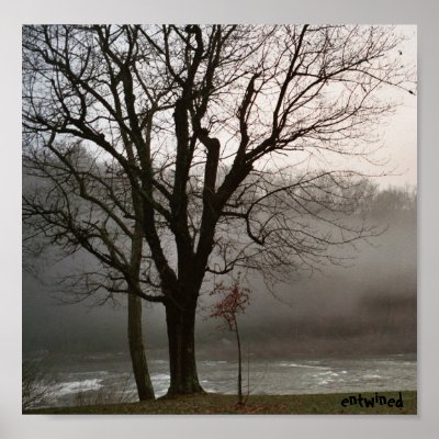 entwined print by mjpetrucci