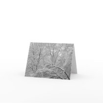 Enveloped Notecards