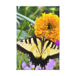Enveloppe de toile de plaisir de papillon impressions sur toile