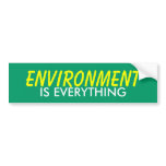 ENVIRONMENT IS EVERYTHING BUMPER STICKERS