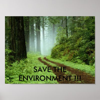 ENVIRONMENT POSTER by LAVC725