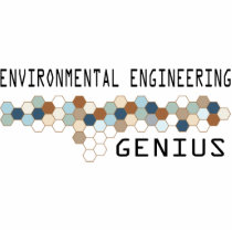Environmental Engineering Genius Photo Sculptures