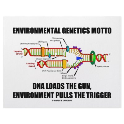 Environmental Genetics Motto DNA Loads Environment by wordsunwords